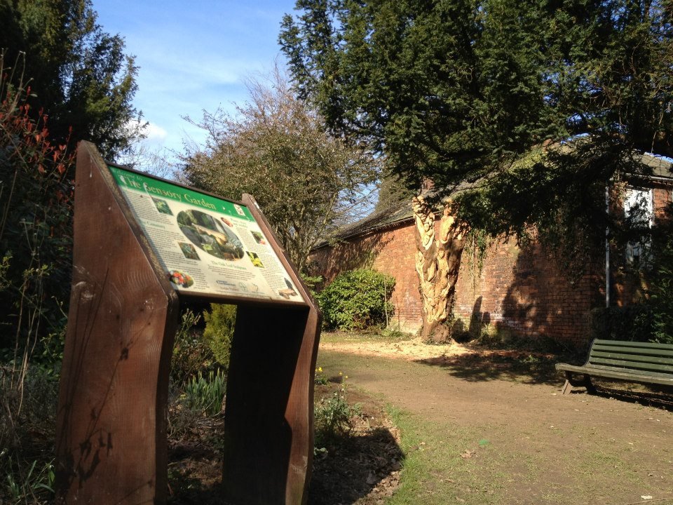 Photograph of Sensory Garden and tree carving