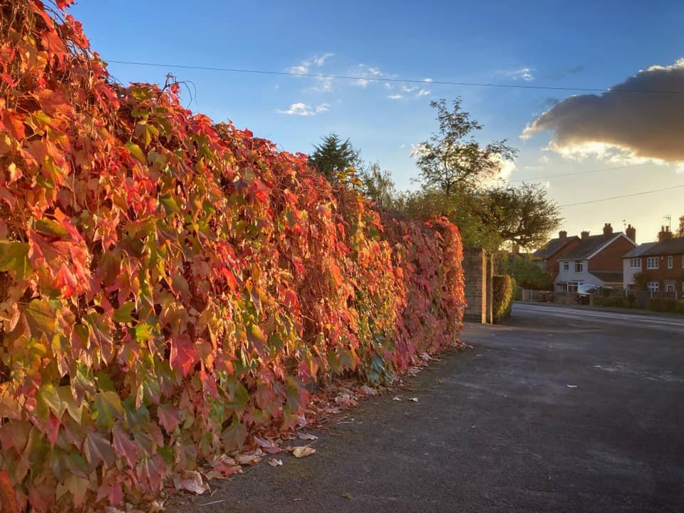 Photograph of Locko Road in autumn