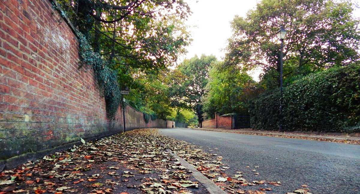 Photograph of Autumn on Chapel Street