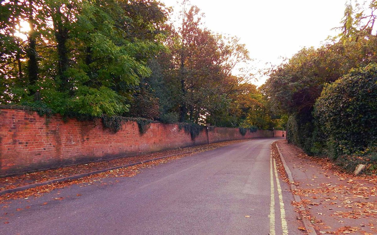 Photograph of Autumn on Chapel Street