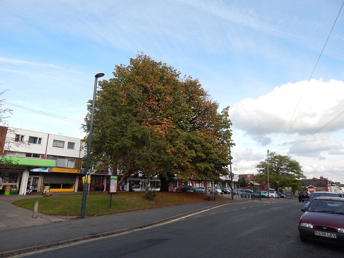 Photograph of Chapel Side Precinct in Autumn