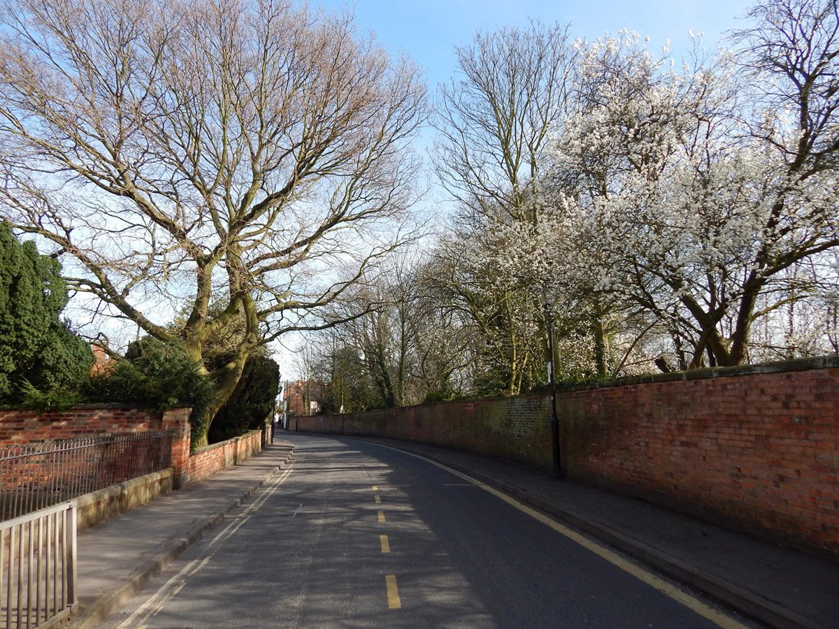 Photograph of Spring blossoms in Chapel Street
