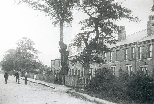 Photograph of Dale Road (1900s)