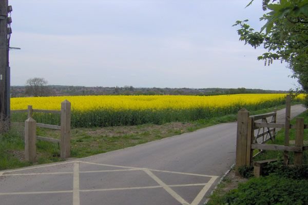 Photograph of West Meadows Local Nature Reserve