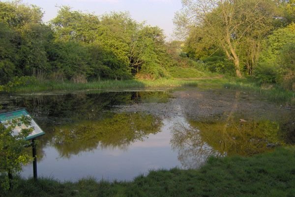 Photograph of West Meadows Pond