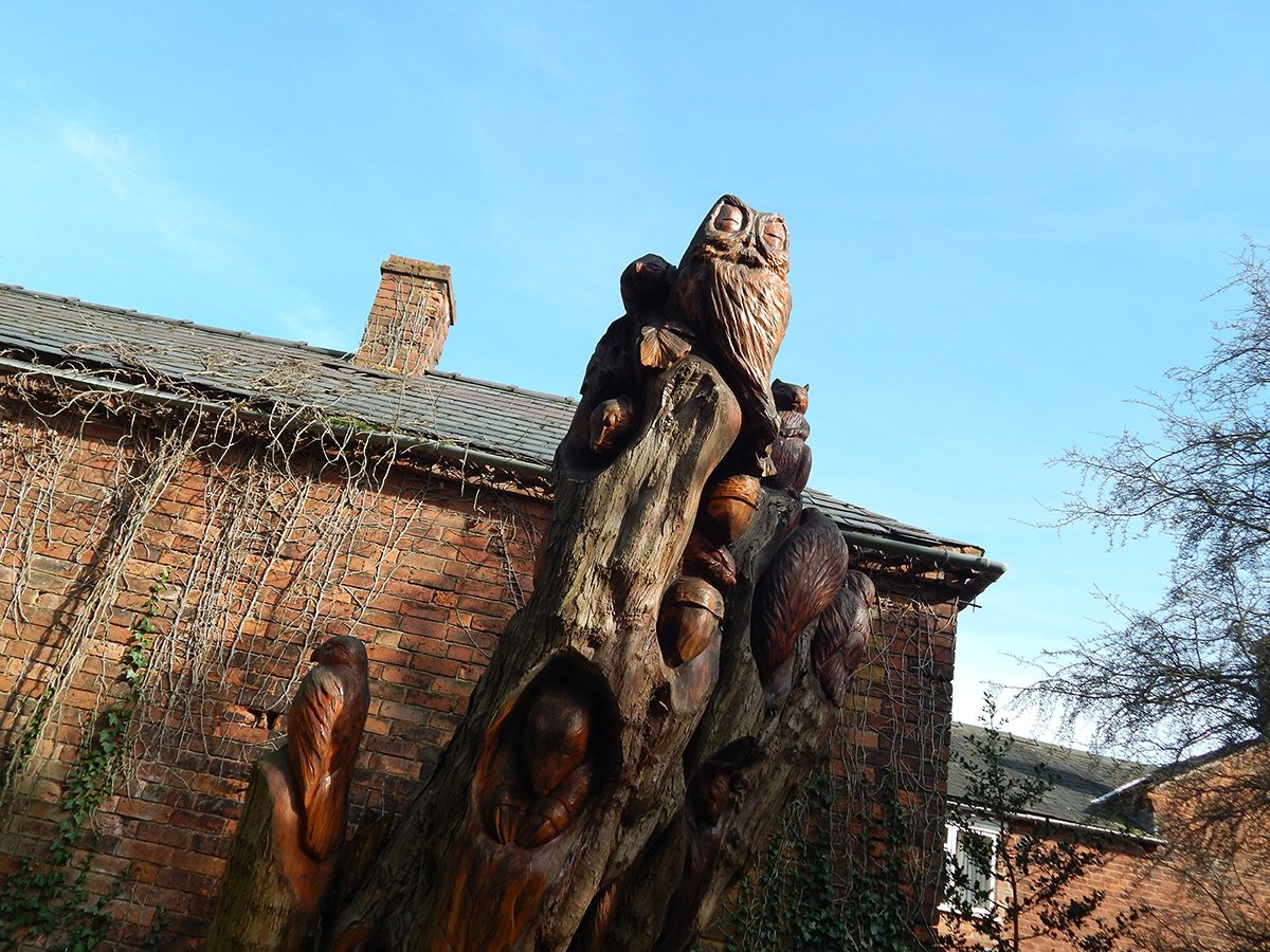 Photograph of Carved tree in the Sensory Garden